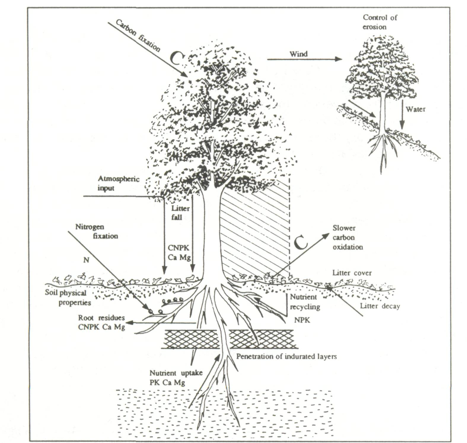 5.2_how_tree_1