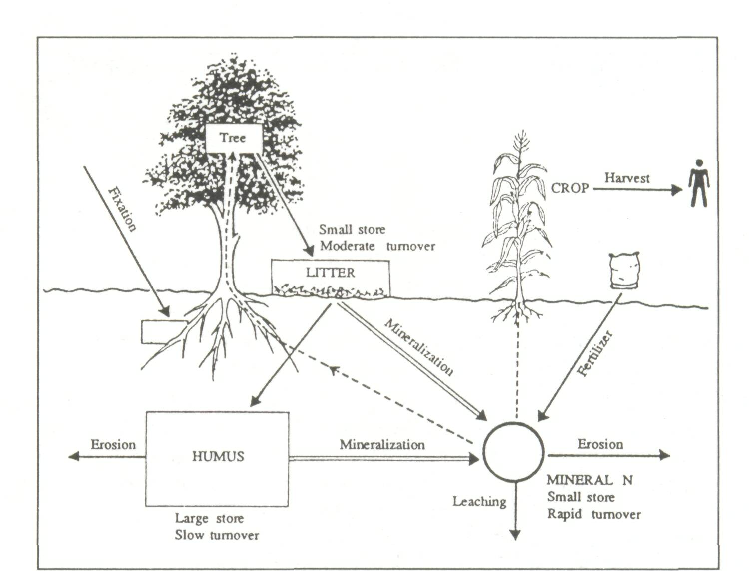 5.2_how_tree_2