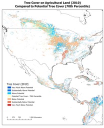 Tree Cover Potential - 70th Percentile - North America v1