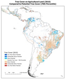 Tree Cover Potential - 70th Percentile - South America v1
