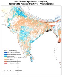 Tree Cover Potential - 70th Percentile - South Asia v1