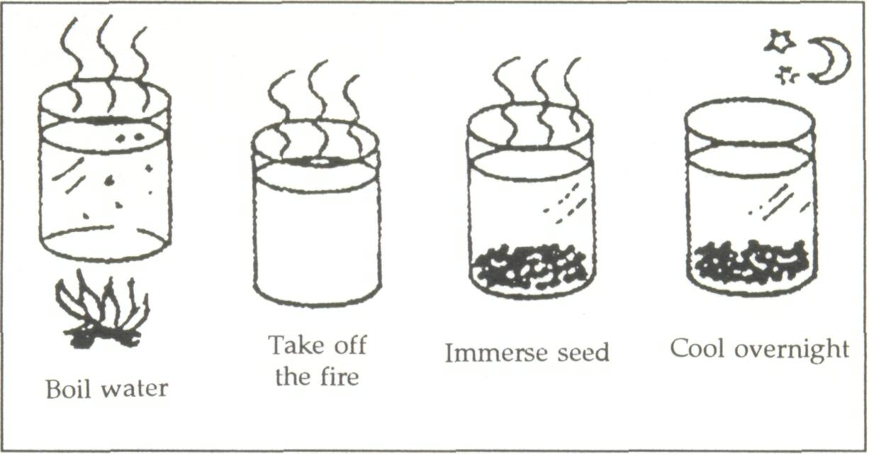 Pre-Boiling Water Treatment