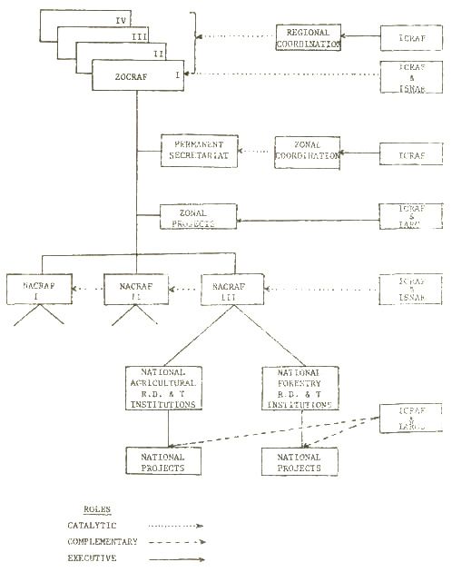 organizational_structure_1.jpg