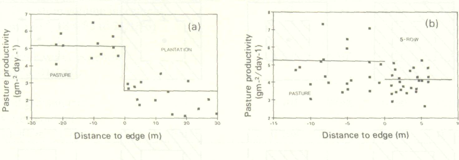 competition_water_nutrients_6