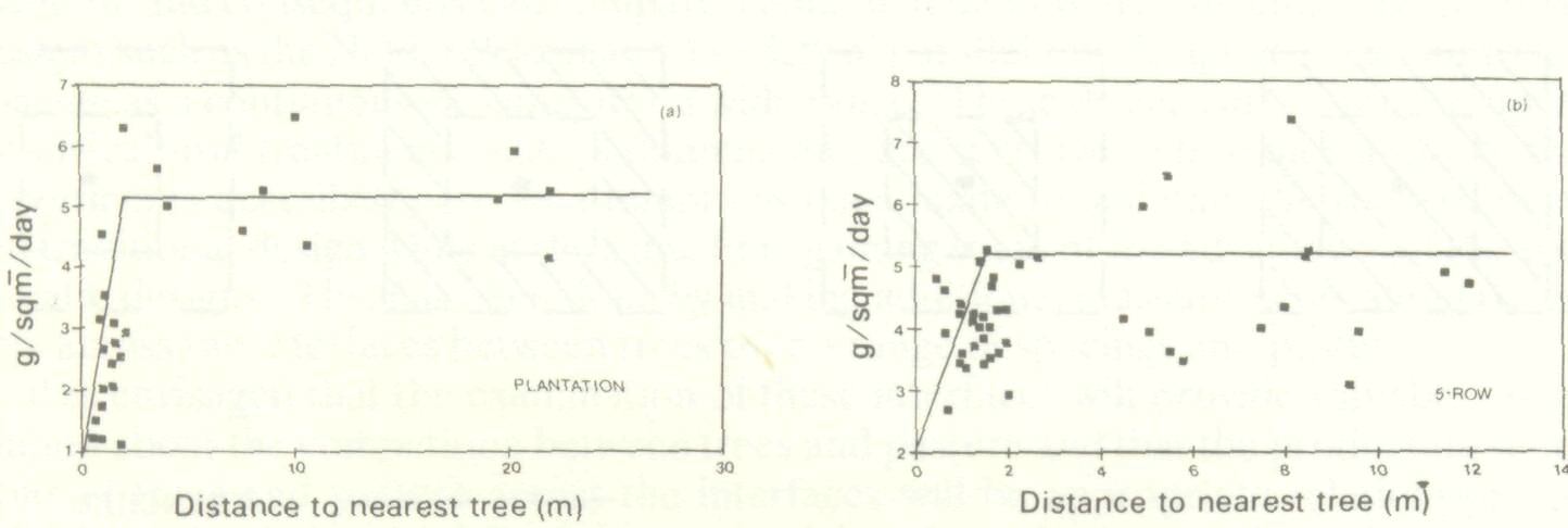 competition_water_nutrients_7