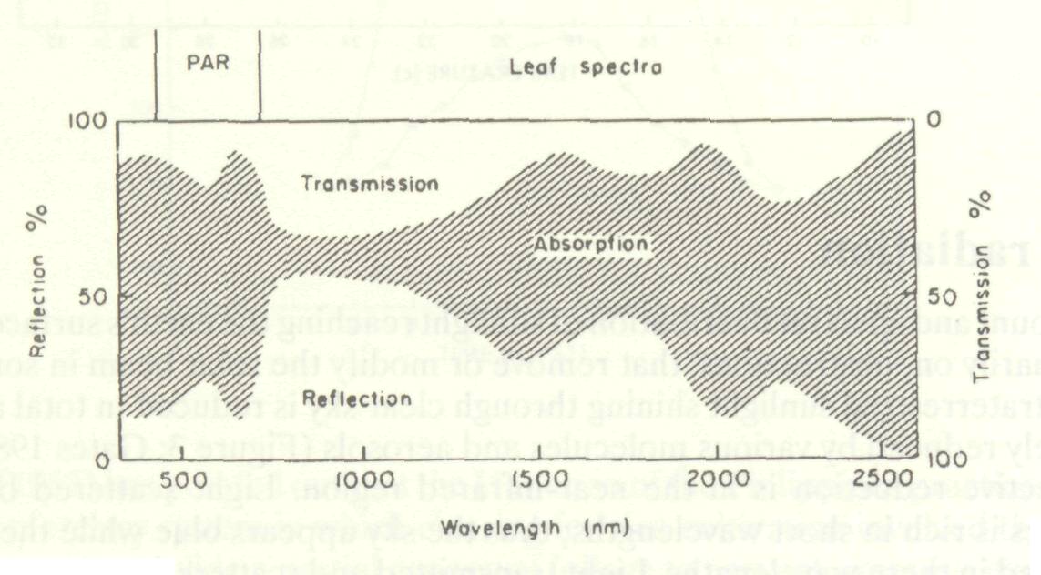 control_solar_radiation_4
