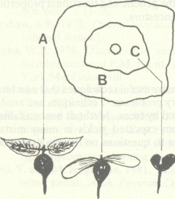 ecological_methods_agroforestry_2