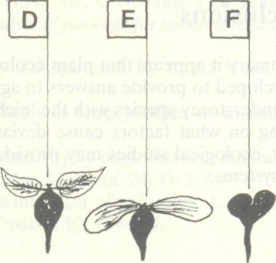 ecological_methods_agroforestry_3