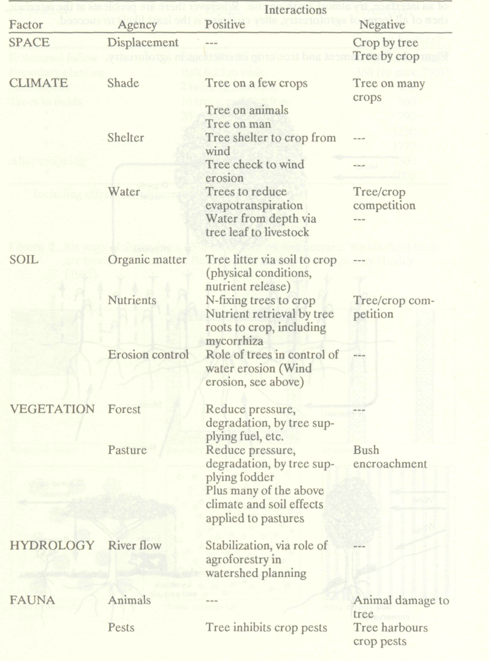 environmental_basis_agroforestry_1