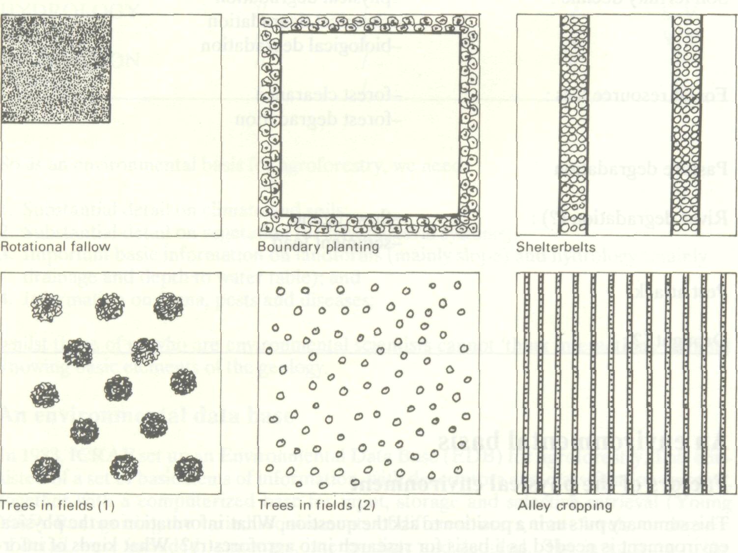 environmental_basis_agroforestry_4