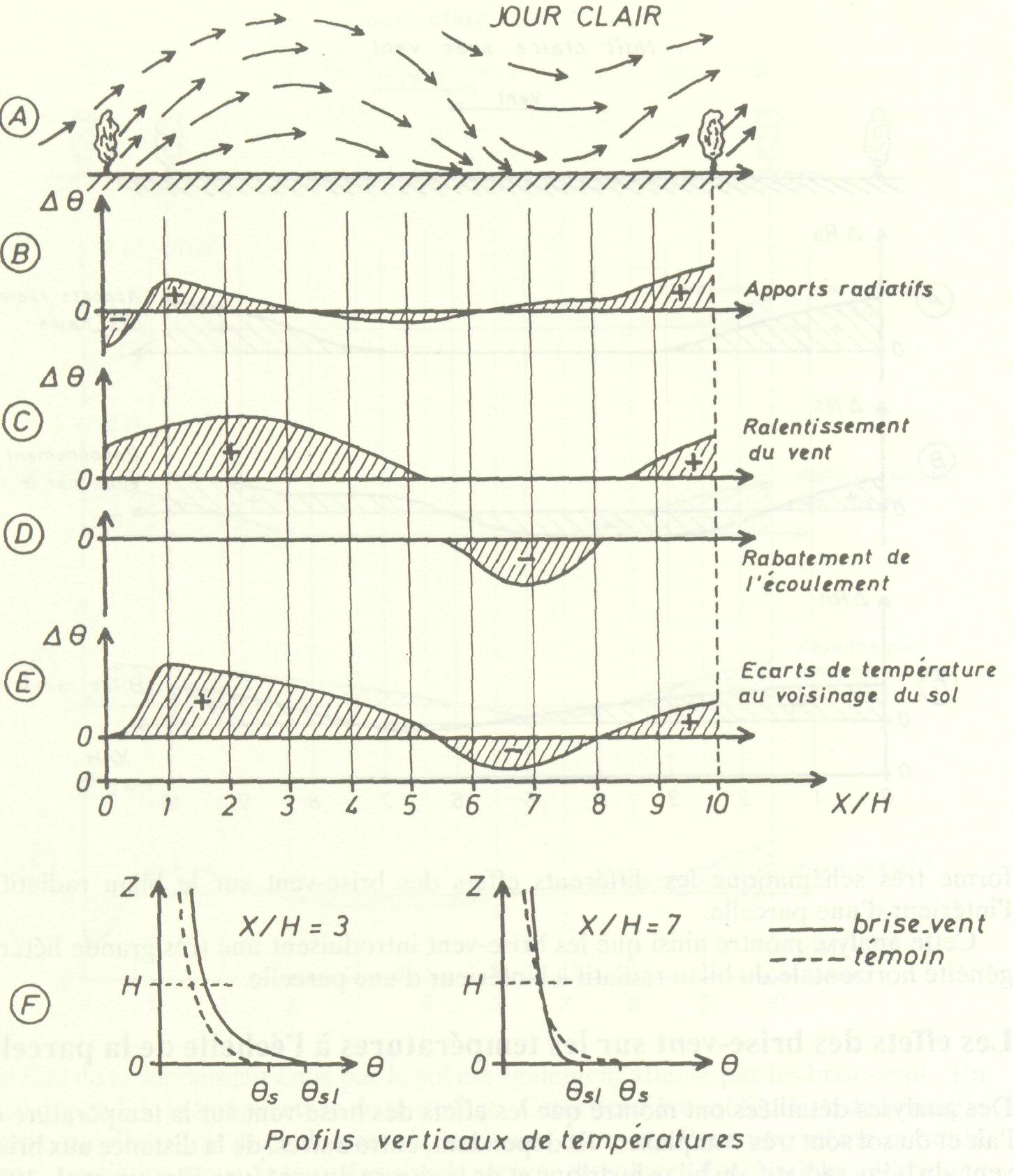 les_effets_microclimatiques_23