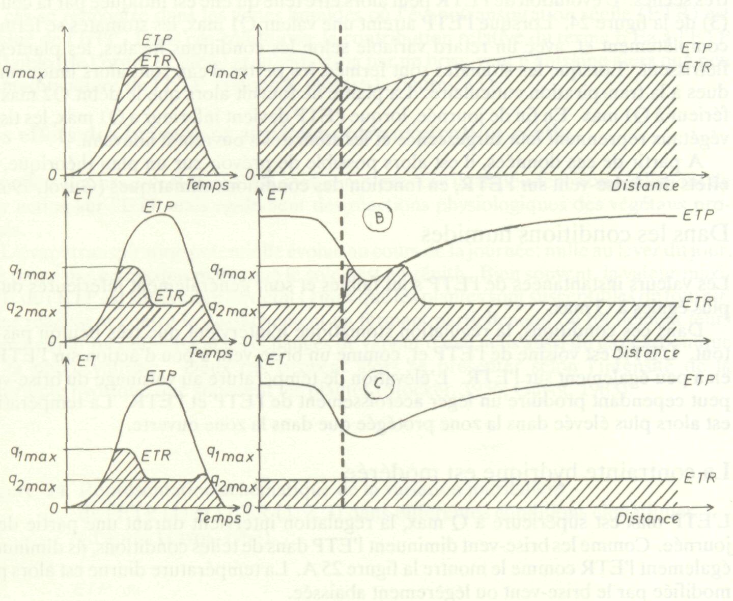 les_effets_microclimatiques_30