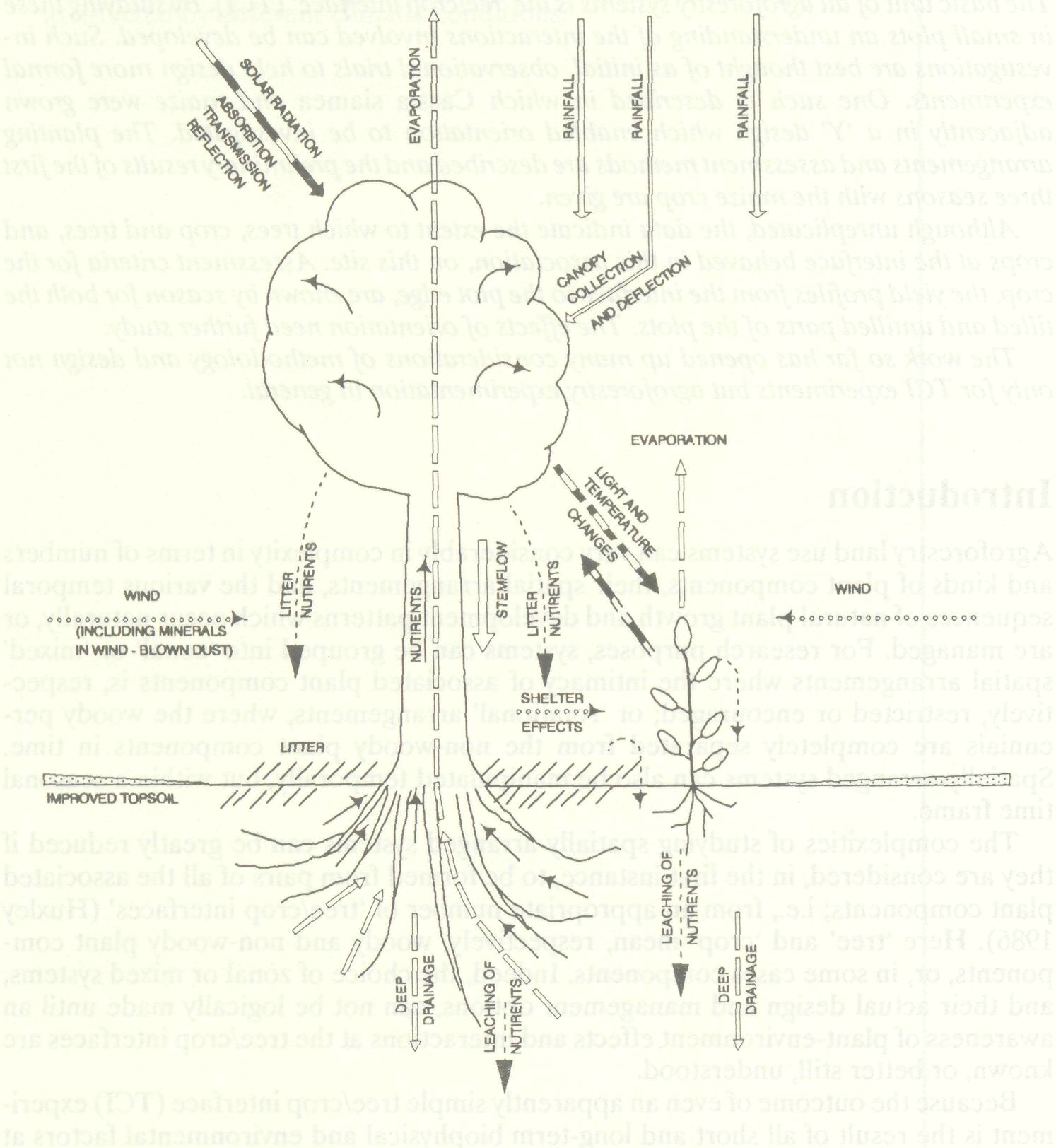 tree_crop_interface_preliminary_1