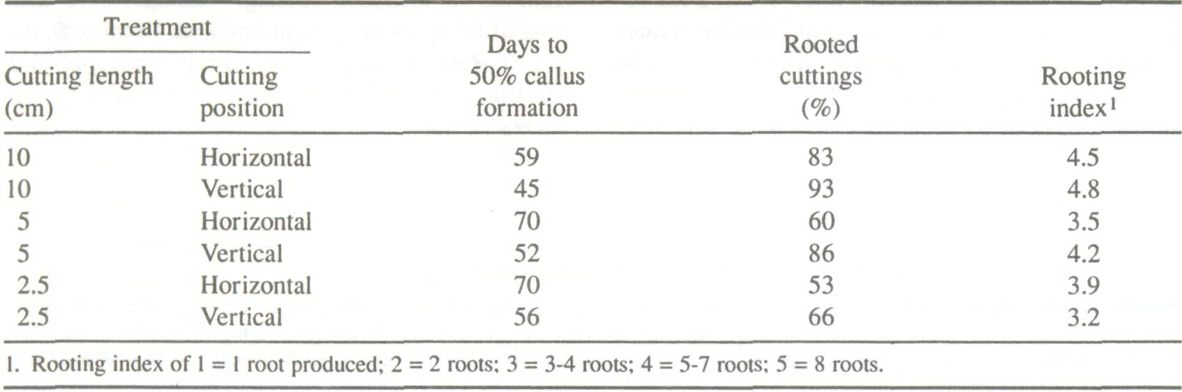 Propogation_cittings_1